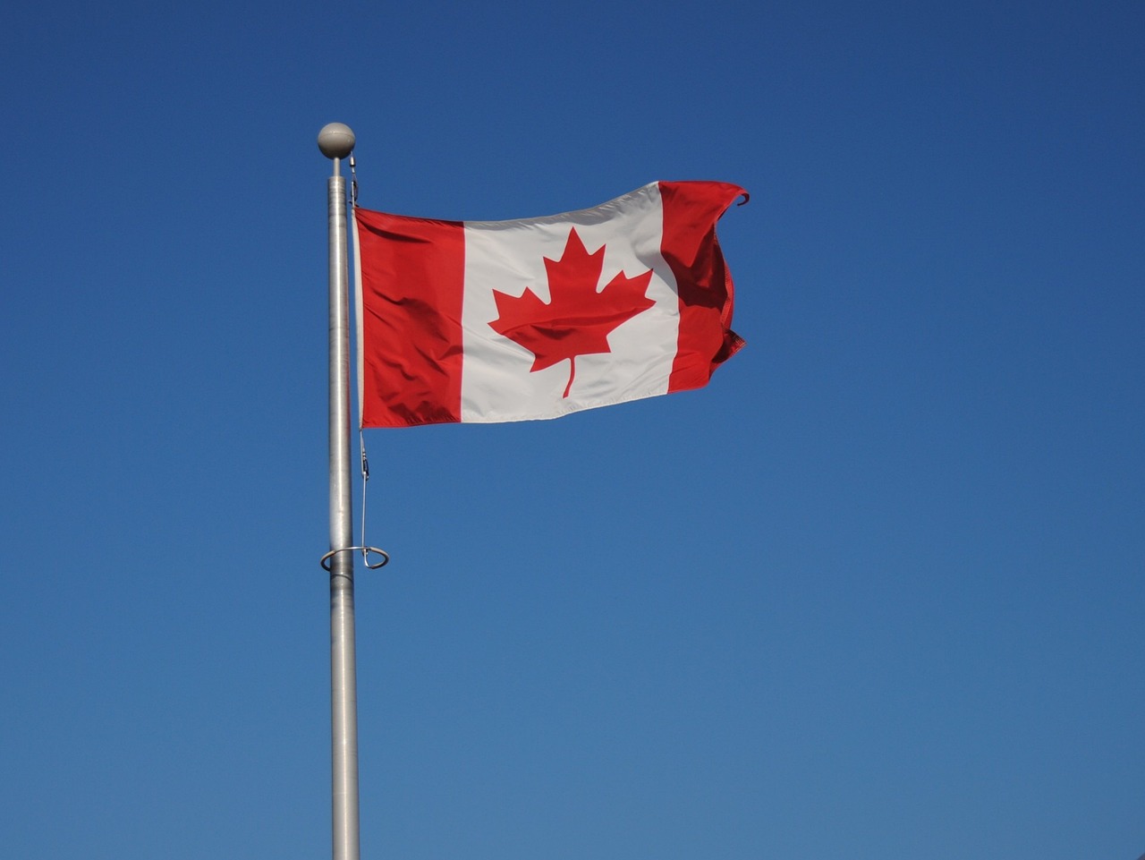 flag, canada, country-220040.jpg